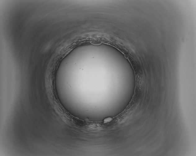 X0000111631489200907241039