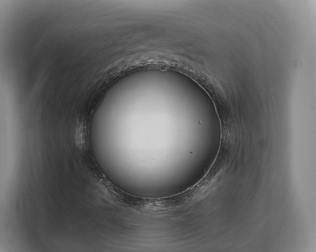 X0000111631490200907241039