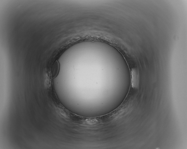 X0000111631491200907241039