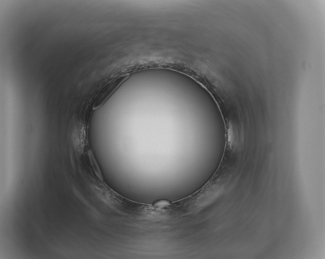 X0000111631492200907241039