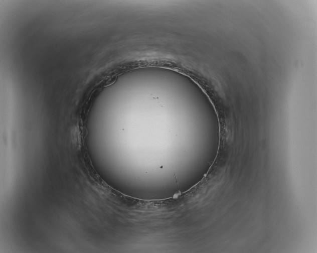 X0000111631493200907241039