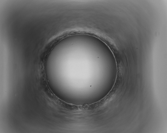 X0000111631494200907241039