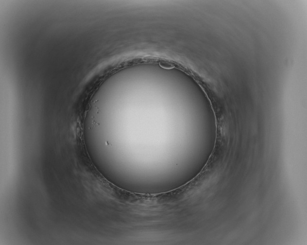 X0000111631495200907241039