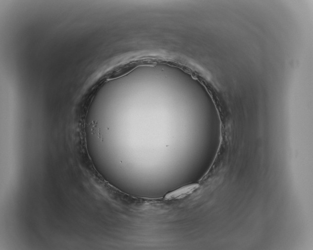 X0000111631496200907241039