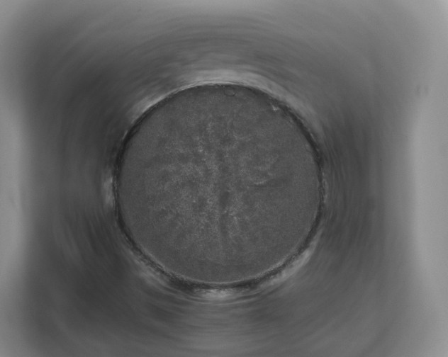 X0000111631497200907241039