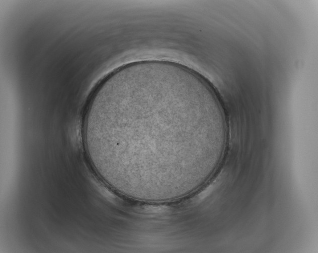 X0000111631498200907241039