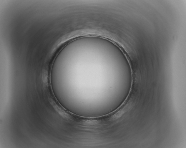 X0000111631499200907241039