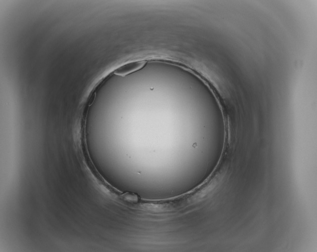 X0000111631500200907241039