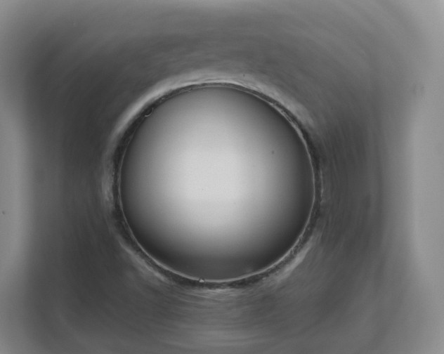 X0000111631502200907241039