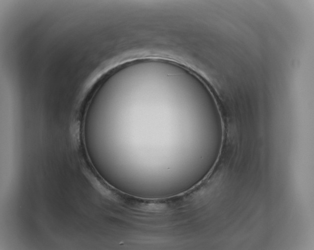 X0000111631503200907241039