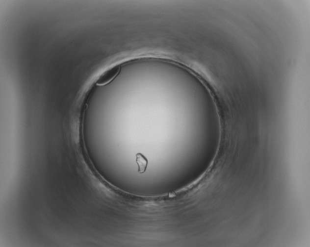 X0000111631504200907241039