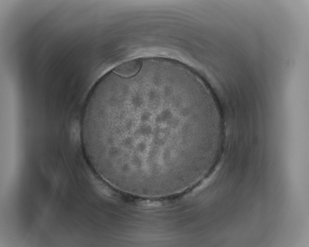 X0000111631505200907241040