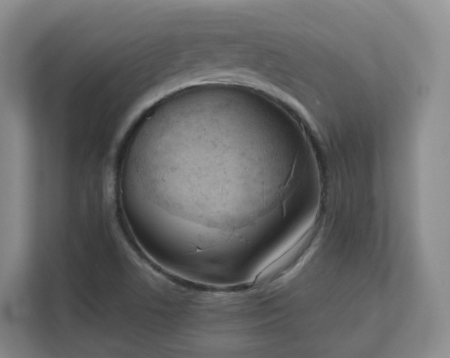 X0000111631506200907241040