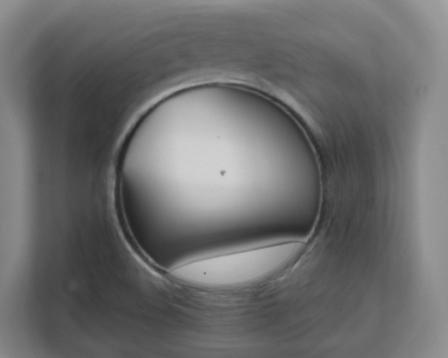 X0000111631508200907241040