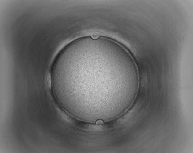 X0000111631509200907241040