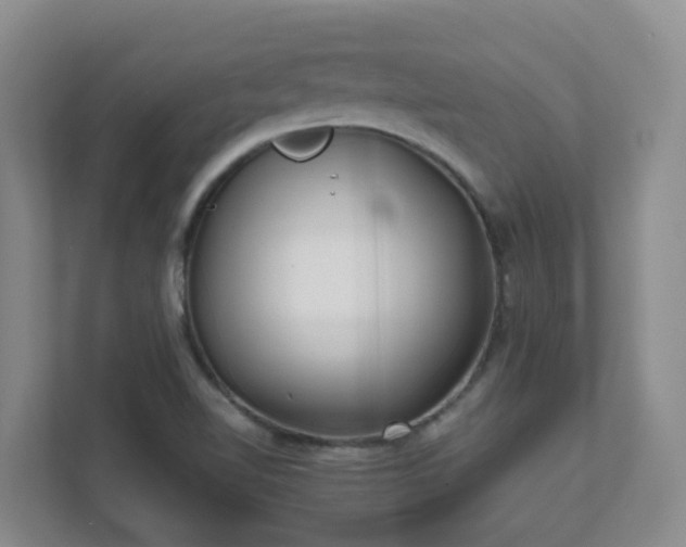 X0000111631510200907241040