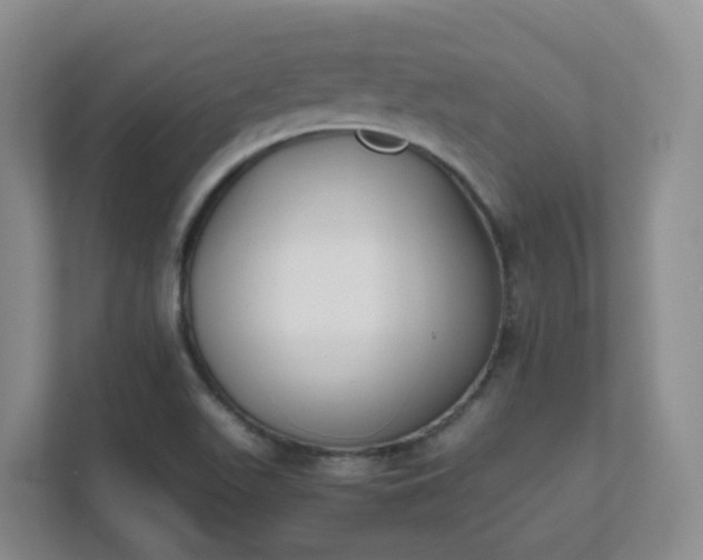 X0000111631511200907241040