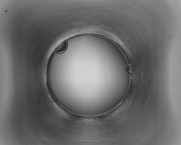 X0000111631512200907241040