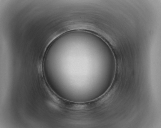 X0000111631513200907241040