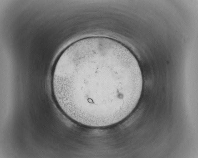 X0000111631514200907241040