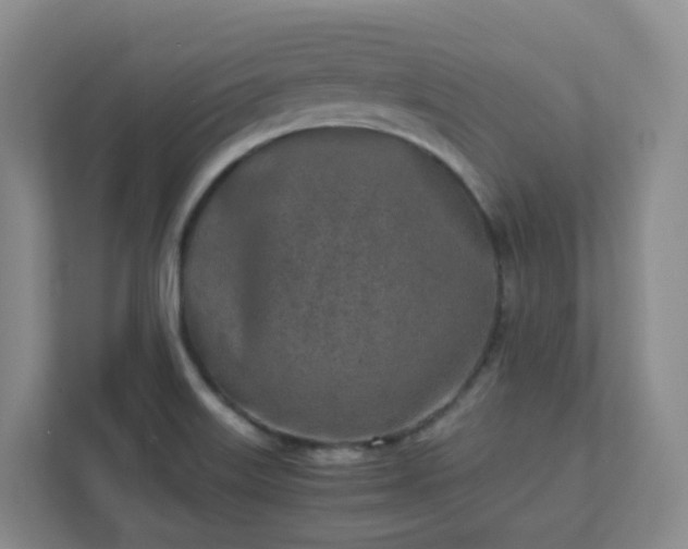 X0000111631515200907241040