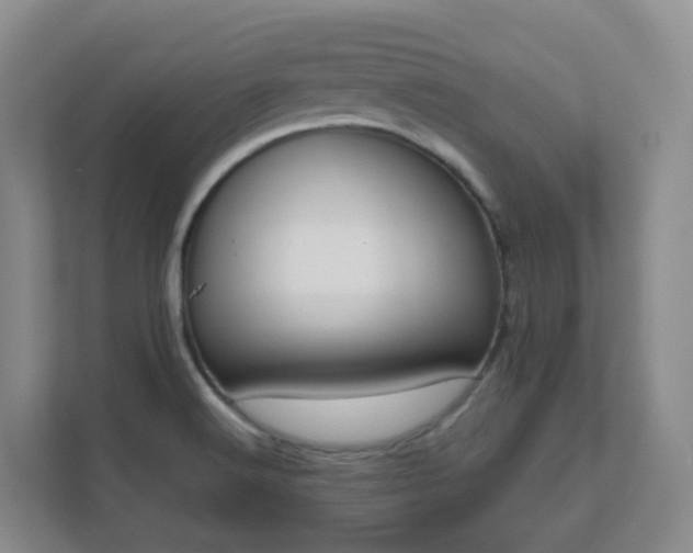 X0000111631516200907241040