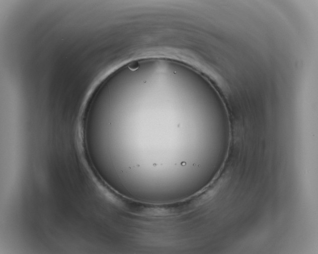 X0000111631517200907241040