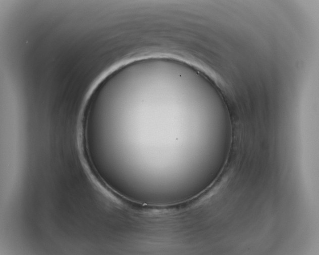 X0000111631518200907241040