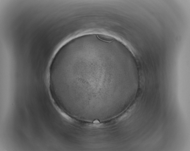 X0000111631519200907241040