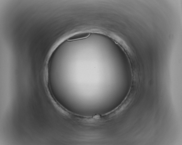 X0000111631520200907241040