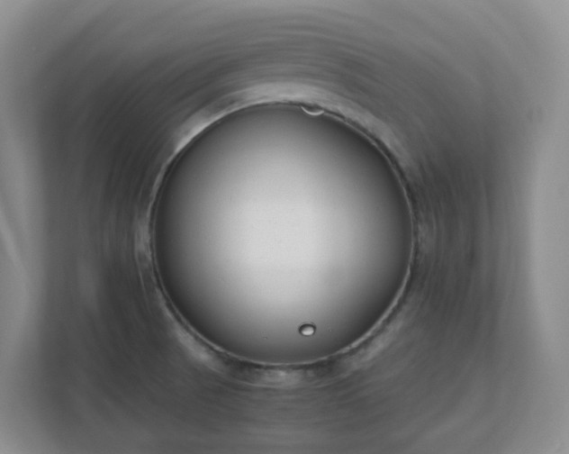 X0000111631521200907241040