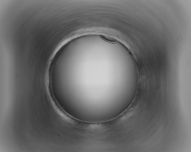 X0000111631523200907241040