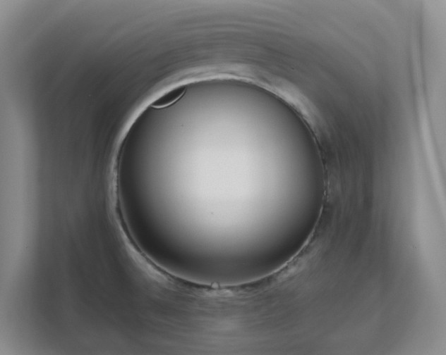 X0000111631524200907241040