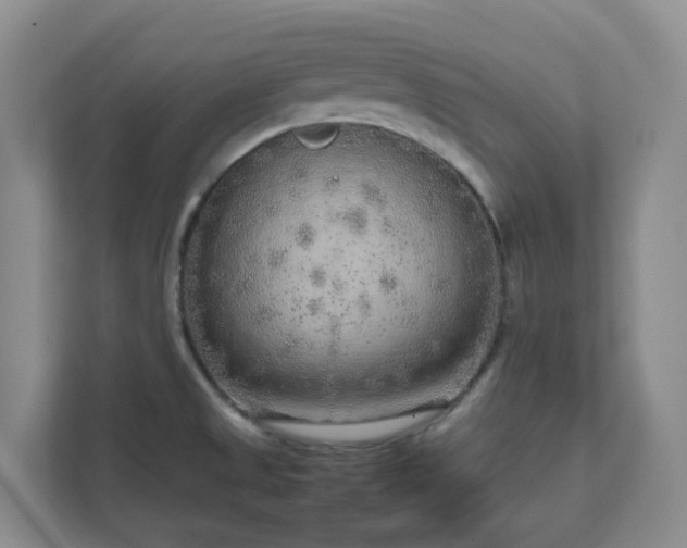 X0000111631525200907241040