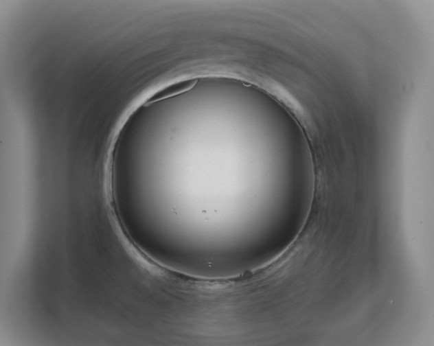 X0000111631528200907241040