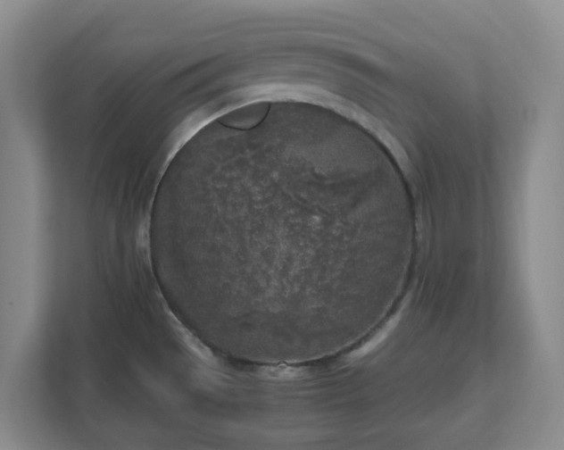 X0000111631529200907241040