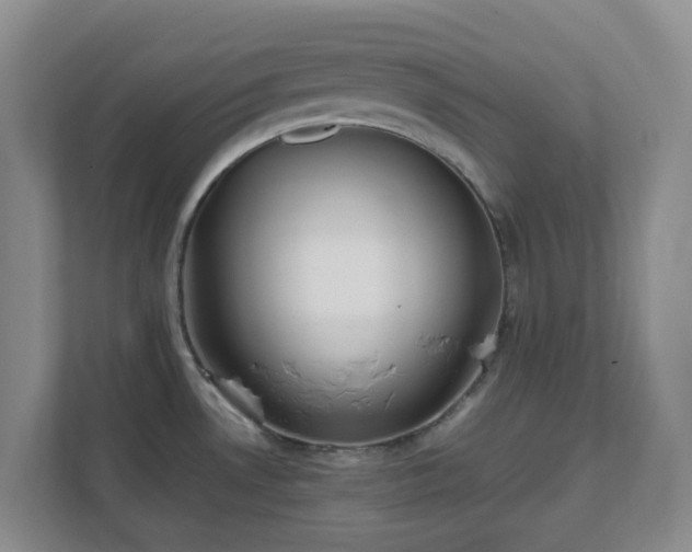 X0000111631530200907241040