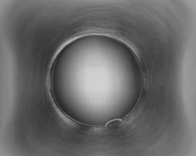 X0000111631531200907241040