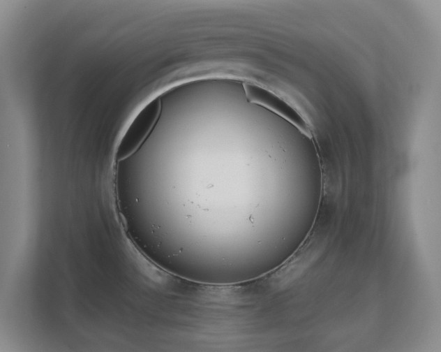 X0000111631532200907241040