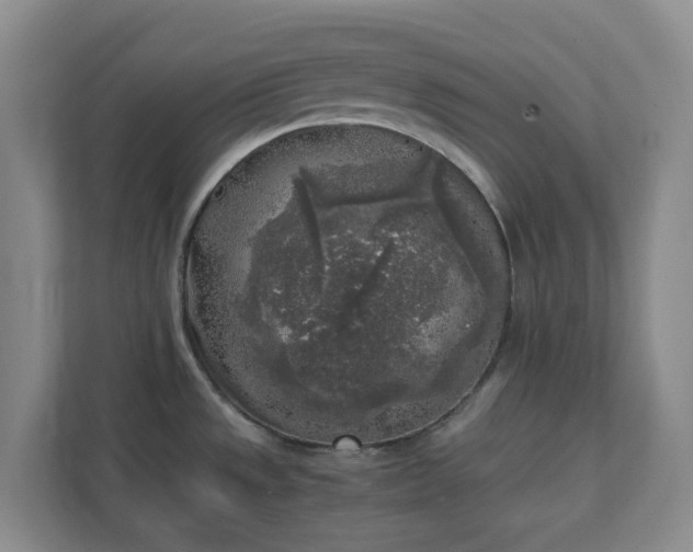 X0000111631533200907241040