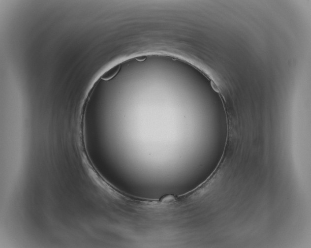 X0000111631534200907241040