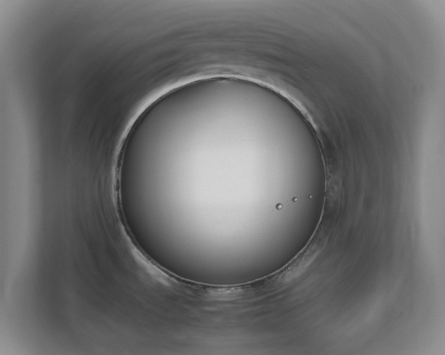 X0000111631535200907241040