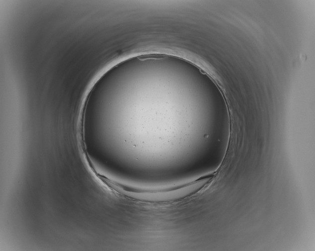 X0000111631536200907241040