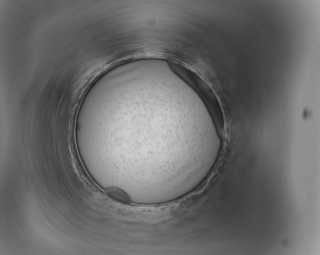 X0000111630001200907311238