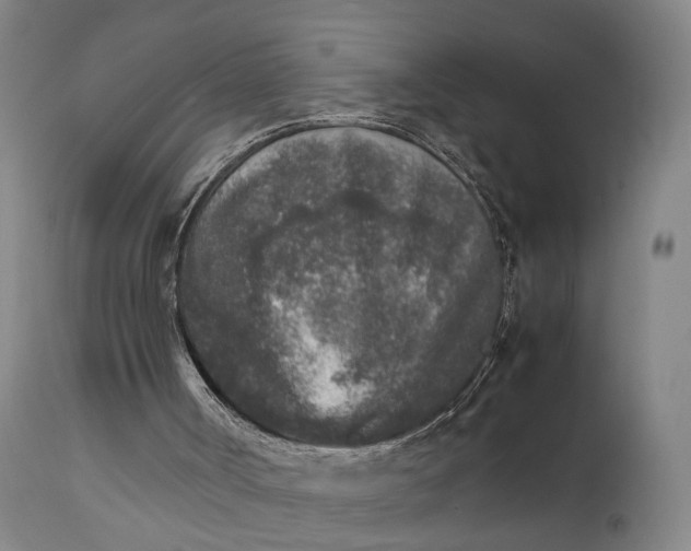 X0000111630002200907311238