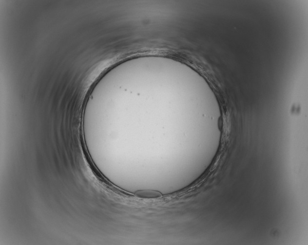 X0000111630003200907311238