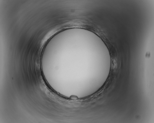 X0000111630004200907311238