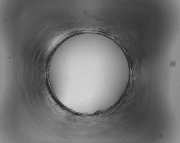 X0000111630005200907311238