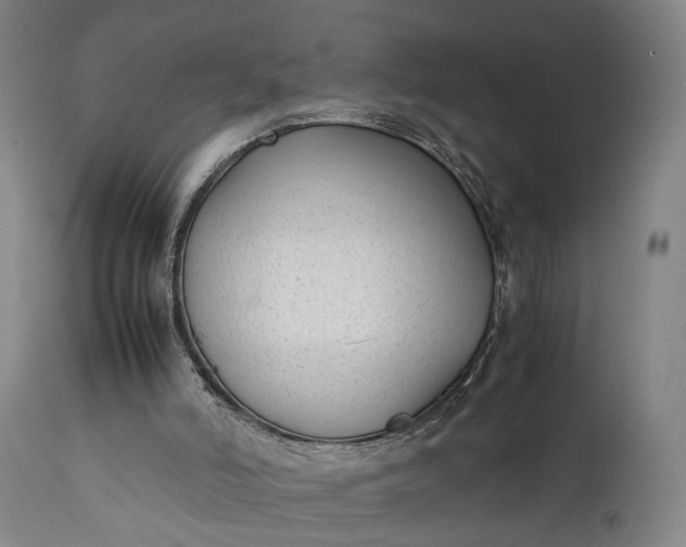 X0000111630006200907311238