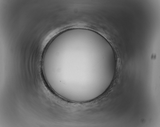 X0000111630007200907311238